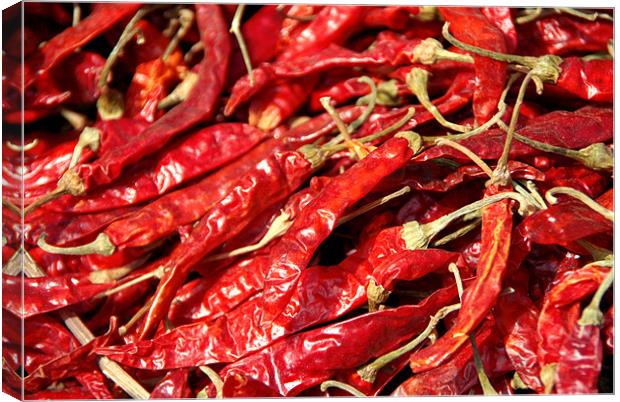 Red Chillies Drying in Kathmandu Canvas Print by Serena Bowles