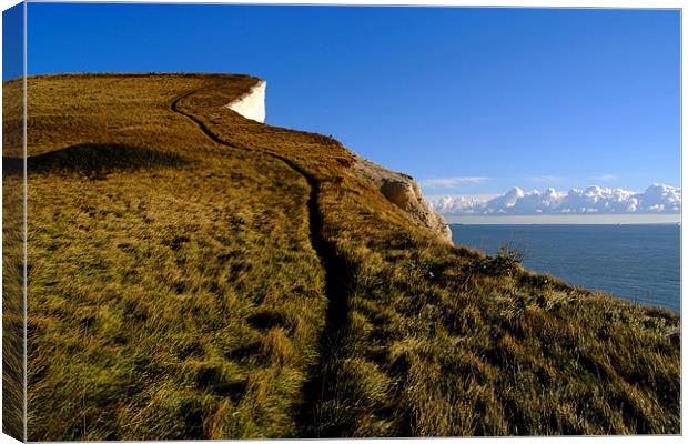Climbing Path on the White Cliffs of Dover Canvas Print by Serena Bowles