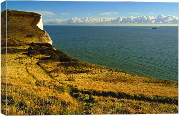 White Cliffs of Dover - Drop Off, England Canvas Print by Serena Bowles