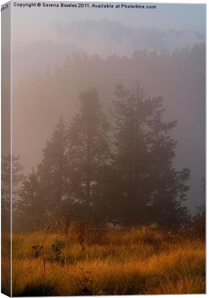 Morning Mist Poon Hill Canvas Print by Serena Bowles