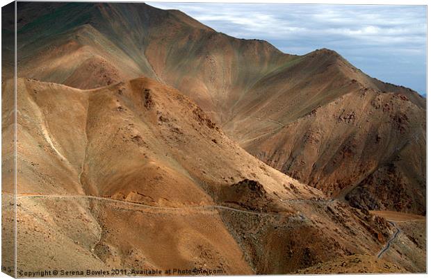 Descending from Khardung La Canvas Print by Serena Bowles