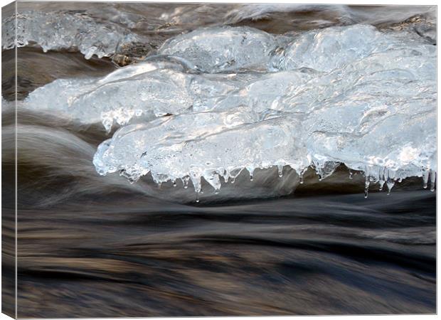 Ice on the Rocks Canvas Print by Mark Malaczynski