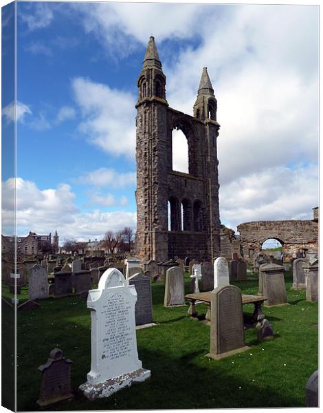 St Andrews Cathedral Canvas Print by Mark Malaczynski