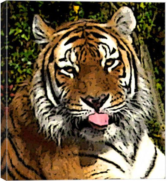 Tiger Canvas Print by Zoe Anderson