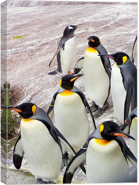 March of the Penguins Canvas Print by Zoe Anderson