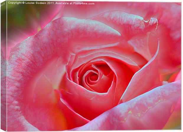 Rose Abstract Canvas Print by Louise Godwin
