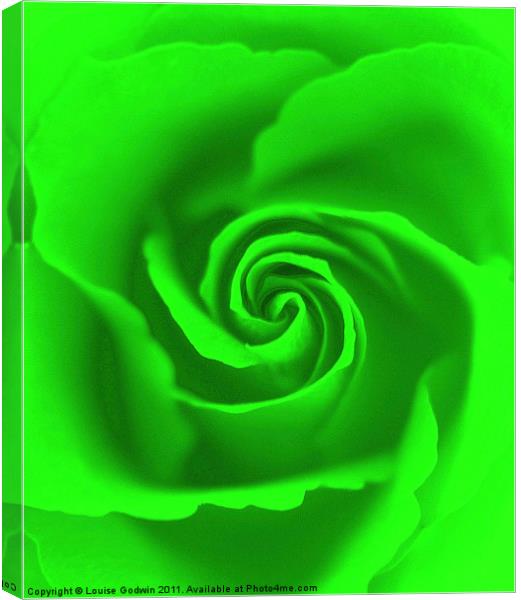 Lime Rose Canvas Print by Louise Godwin