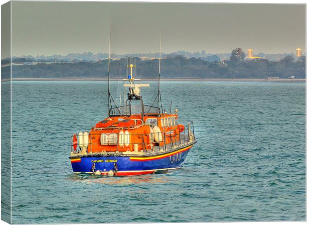 Life Saver Canvas Print by Louise Godwin