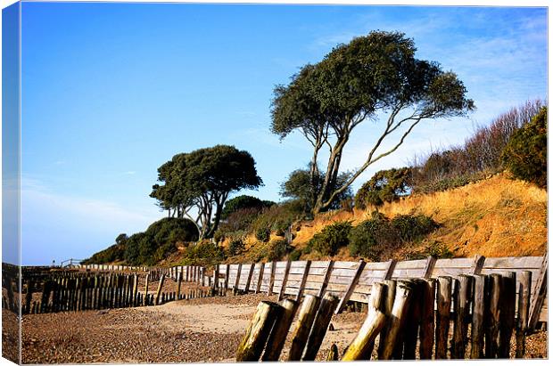 Lepe Country Park Canvas Print by Louise Godwin