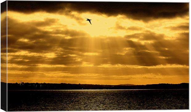 Sun Rays Bursting Through Canvas Print by Louise Godwin