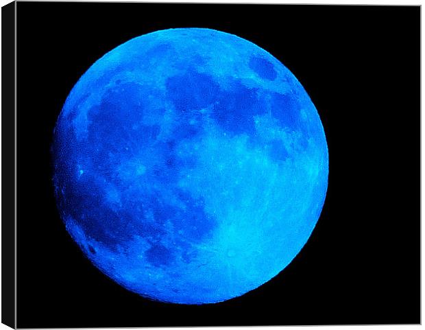 Another Blue Moon Canvas Print by Louise Godwin