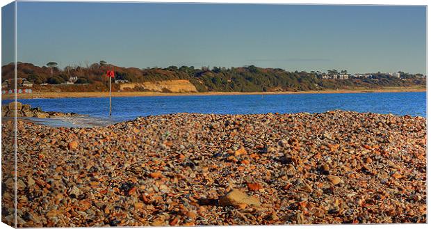 The Shingle And Beyond Canvas Print by Louise Godwin