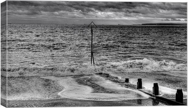 Black and White Tide Canvas Print by Louise Godwin