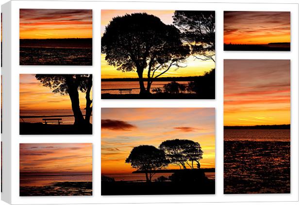 Lepe Collage Canvas Print by Louise Godwin