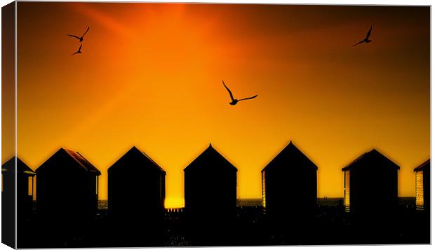 Amber Huts Canvas Print by Louise Godwin