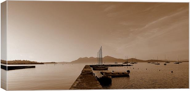 Sepia Jetty Canvas Print by Louise Godwin