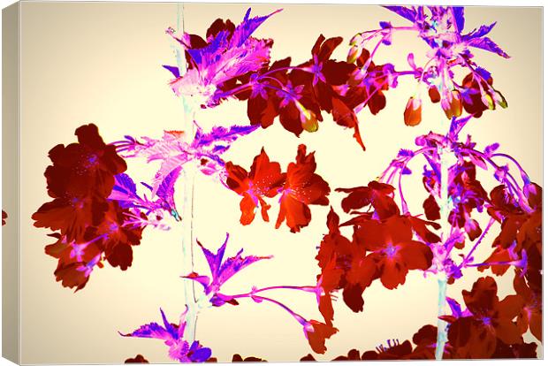 Abstract Cherry Blossom Canvas Print by Louise Godwin