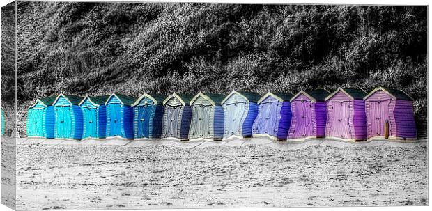 Funny Huts Canvas Print by Louise Godwin