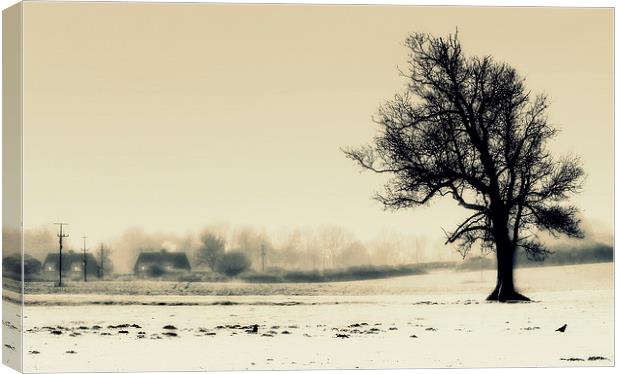  Lone Tree Canvas Print by Louise Godwin