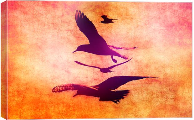 Free As A Bird Canvas Print by Louise Godwin