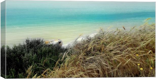 Nature  Canvas Print by Louise Godwin