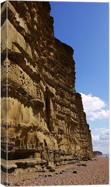 Jurassic Coast Cliffs Canvas Print by Louise Godwin