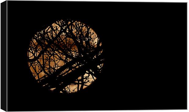 Moon Beyond The Trees Canvas Print by Louise Godwin