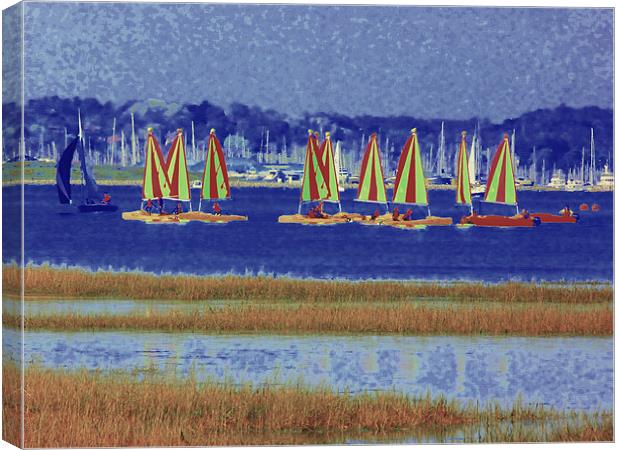 On Your Marks, Get Set, Sail! Canvas Print by Louise Godwin