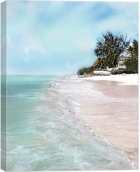 Barbados Beauty Canvas Print by Louise Godwin