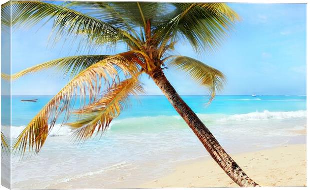 Relax Palm Tree Time Canvas Print by Louise Godwin