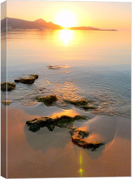 Sunrise Reflections Canvas Print by Louise Godwin