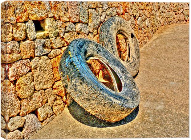 All Tyred Out! Canvas Print by Louise Godwin