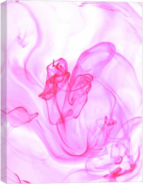 Pink Smoke Canvas Print by Louise Godwin