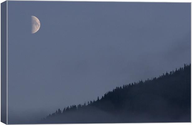 Moon over woods Canvas Print by Thomas Schaeffer