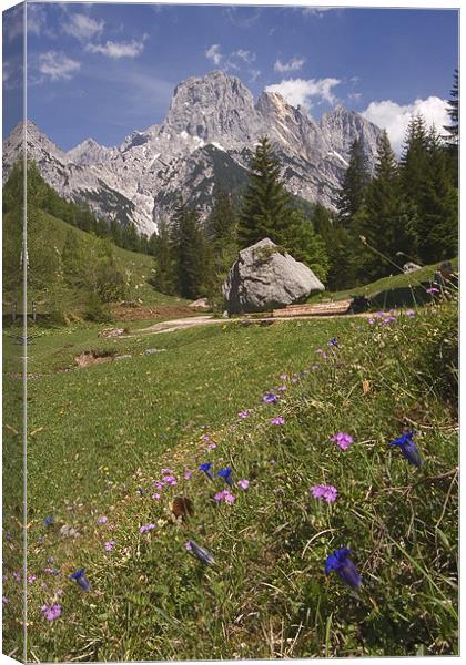 Alpine scenery Canvas Print by Thomas Schaeffer