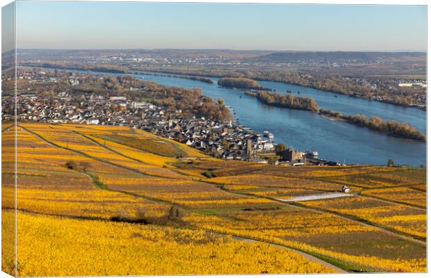 Rhine valley in the fall Canvas Print by Thomas Schaeffer