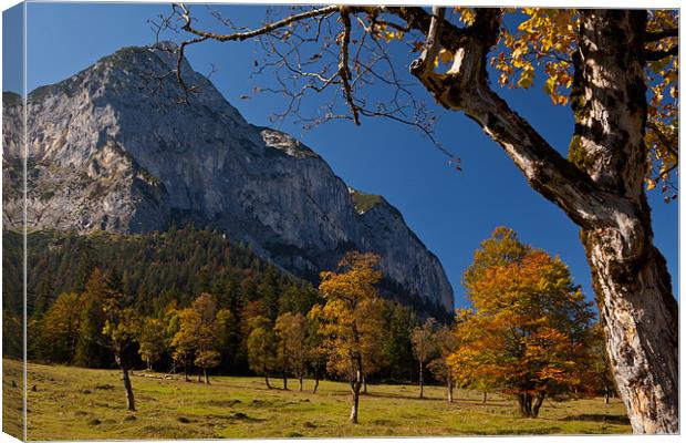 Fall colors in the alps Canvas Print by Thomas Schaeffer