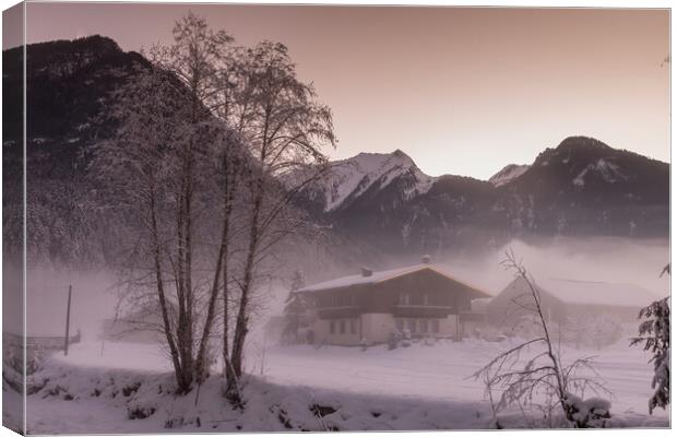Icy fog in the valley Canvas Print by Thomas Schaeffer