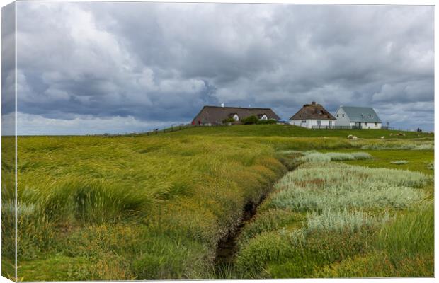 An der Hamburger Hallig Canvas Print by Thomas Schaeffer