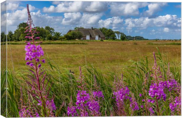 Garten des Noldemuseums Canvas Print by Thomas Schaeffer