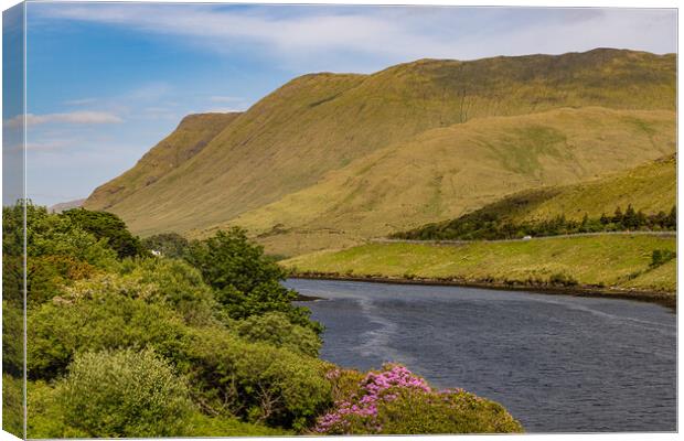 Wild Atlantic Way Canvas Print by Thomas Schaeffer