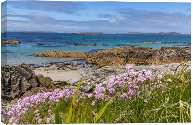 An der Connemara Coast Canvas Print by Thomas Schaeffer