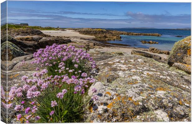 An der Connemara Coast Canvas Print by Thomas Schaeffer