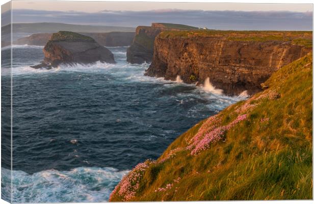 Sunset an den Kilkee Cliffs Canvas Print by Thomas Schaeffer