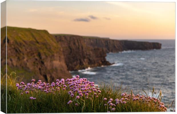 Kilkee Cliffs Sunset Canvas Print by Thomas Schaeffer