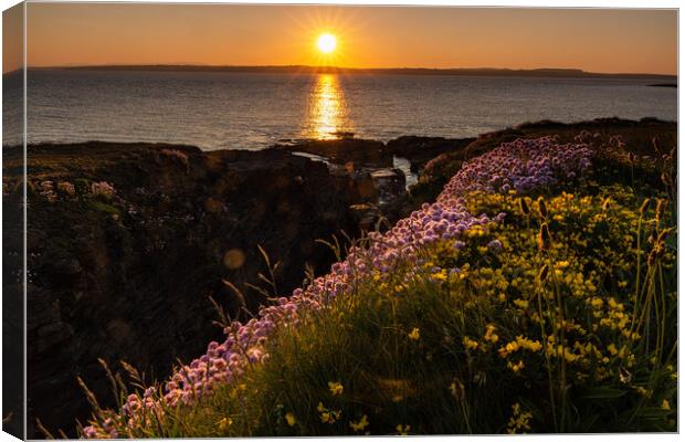 Sunset am  Hook Head Canvas Print by Thomas Schaeffer