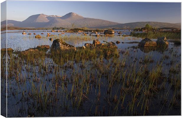 Rannoch Mhor sunrise Canvas Print by Thomas Schaeffer