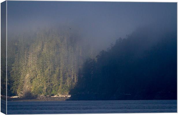 Morning mist in Knight Inlet Canvas Print by Thomas Schaeffer