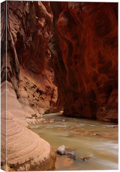 The Narrows II Canvas Print by Thomas Schaeffer