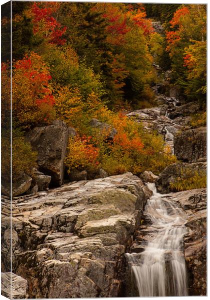 Waterfall Canvas Print by Thomas Schaeffer